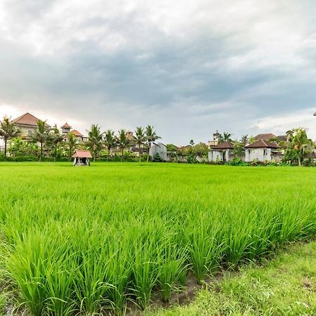 Juli House By Mahaputra Hotel อูบุด ภายนอก รูปภาพ