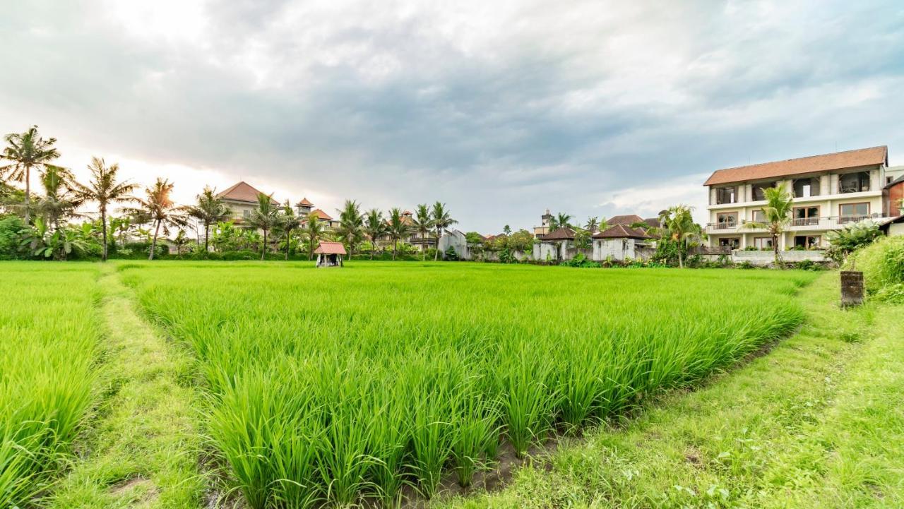 Juli House By Mahaputra Hotel อูบุด ภายนอก รูปภาพ